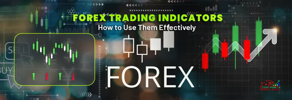 Understanding the Role of Brokers in the Global Forex Market